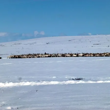 Alojamento de Turismo Selvagem Jergul Astu